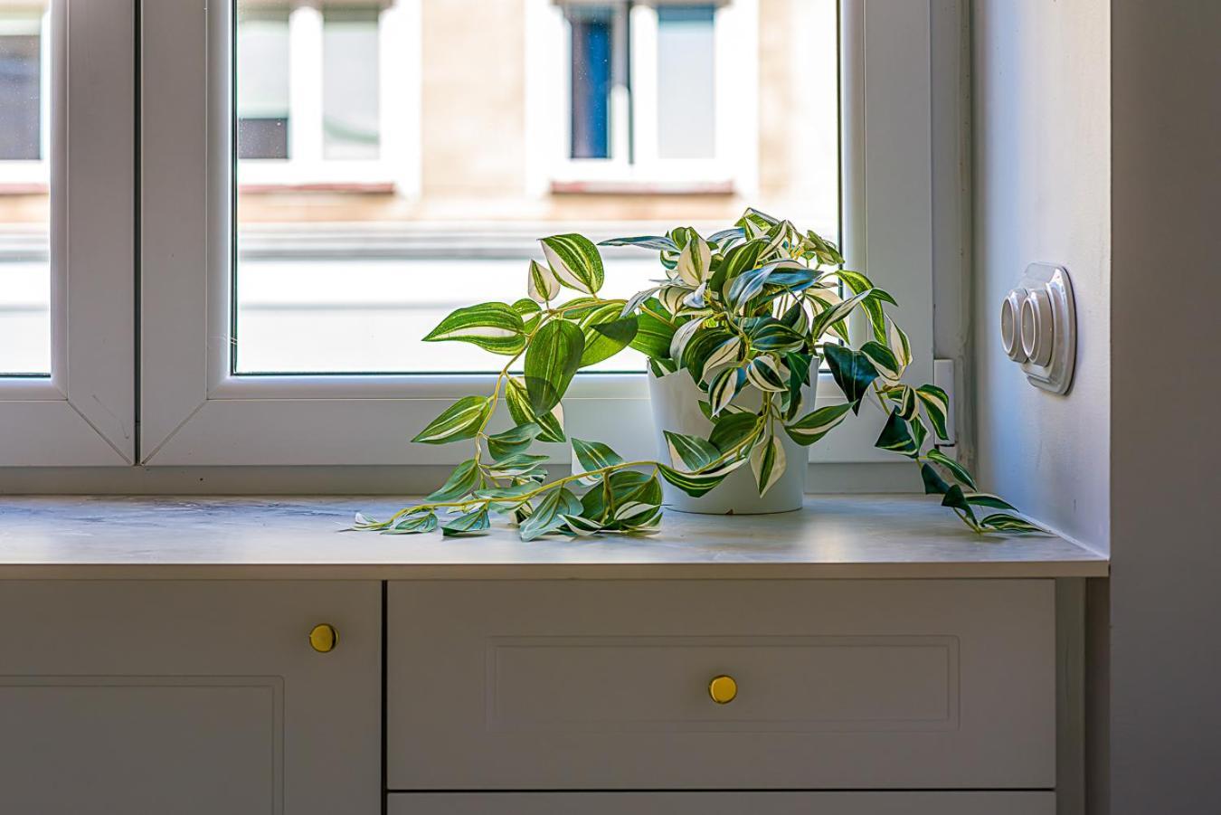Apartament Koszykowa 3 Warszawa Eksteriør billede